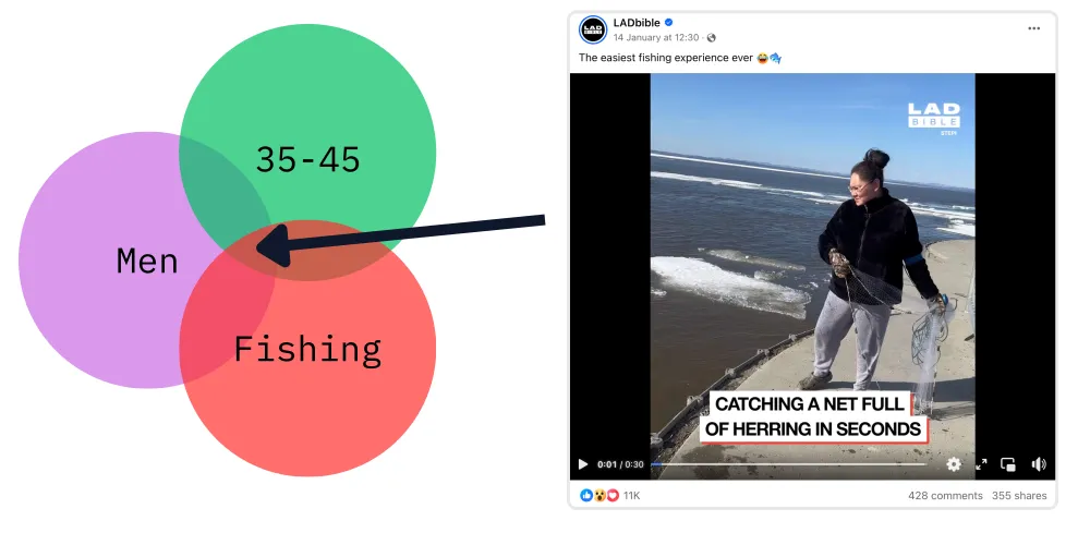 Audiences and content